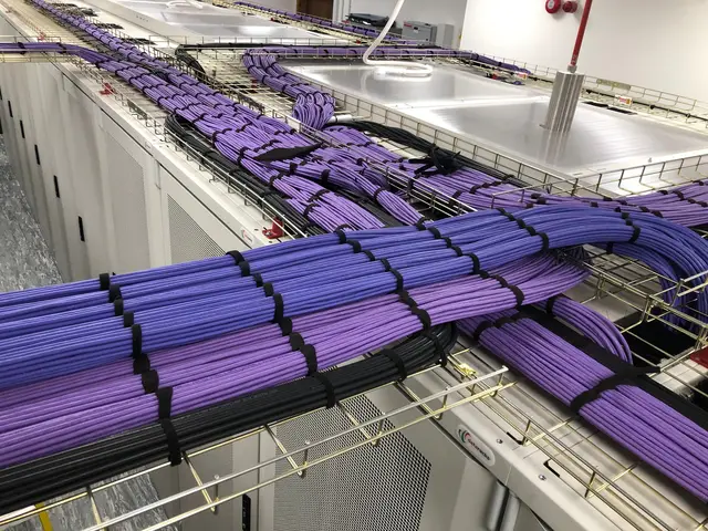 Purple copper cable bundles combed and dressed on a cable tray