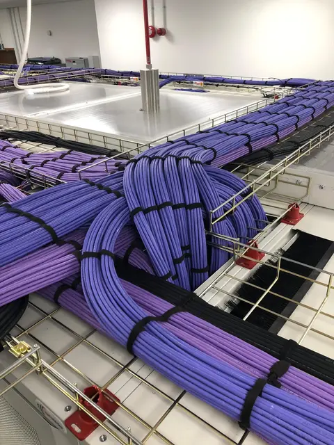 Purple cable bundles crossing and sweeping on a tray